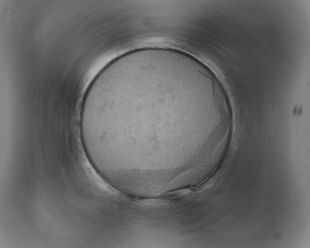 X0000111021392200907101330