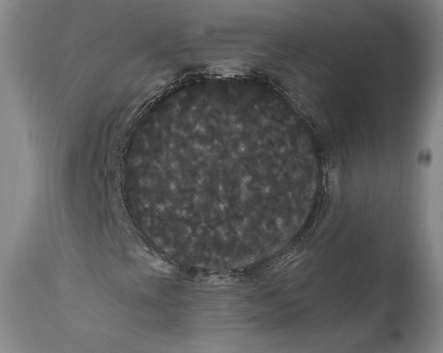X0000111021393200907101329