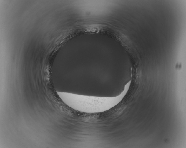 X0000111021394200907101329