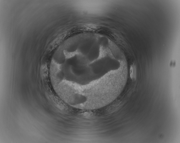 X0000111021395200907101329