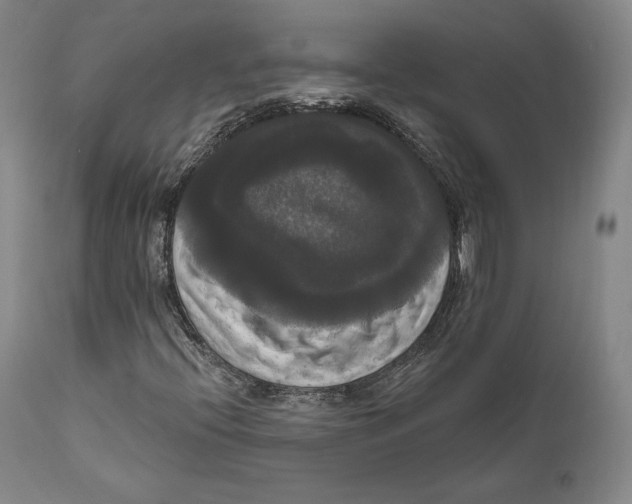 X0000111021396200907101329