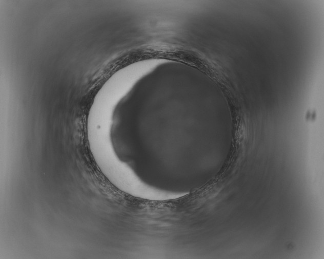 X0000111021397200907101329