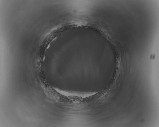 X0000111021398200907101329