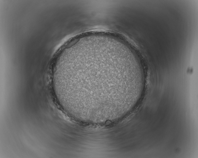 X0000111021400200907101329
