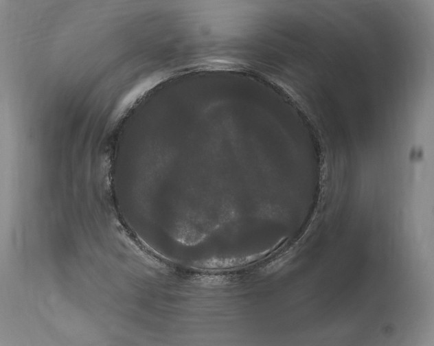 X0000111021402200907101329