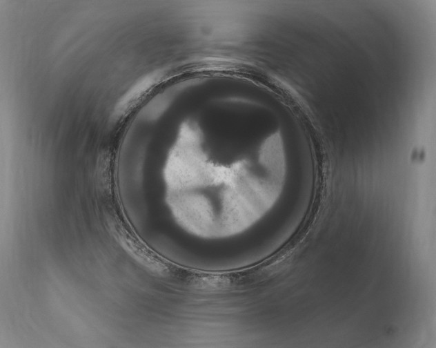 X0000111021403200907101329