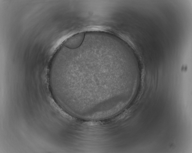 X0000111021404200907101329