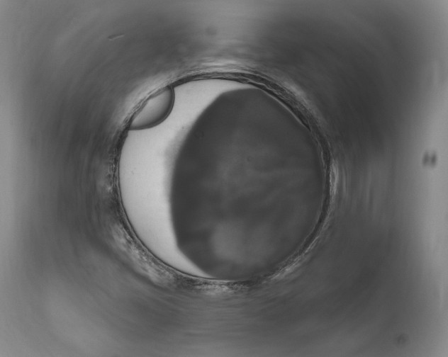X0000111021405200907101329