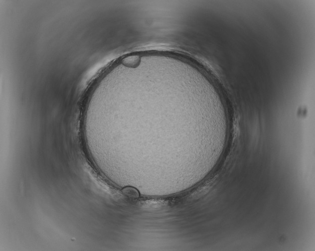 X0000111021406200907101329