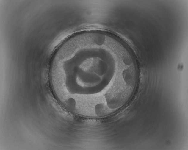 X0000111021407200907101329