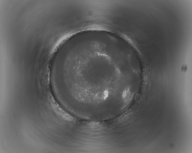 X0000111021408200907101329