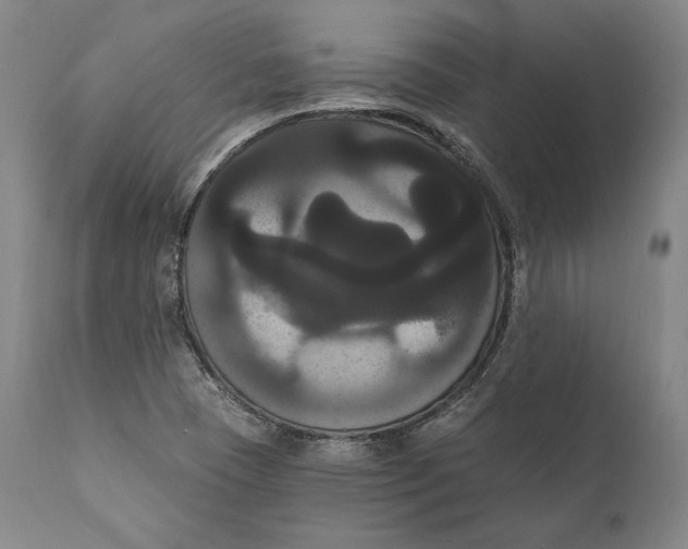X0000111021409200907101329