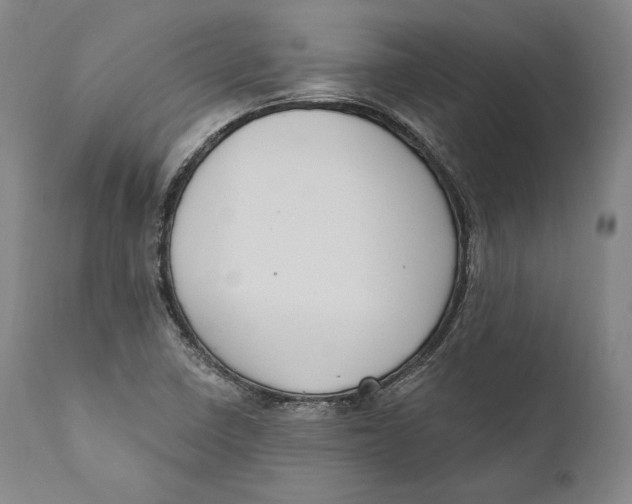 X0000111021410200907101329
