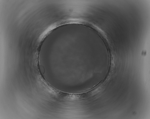 X0000111021411200907101329