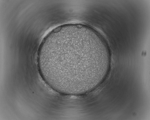 X0000111021412200907101329