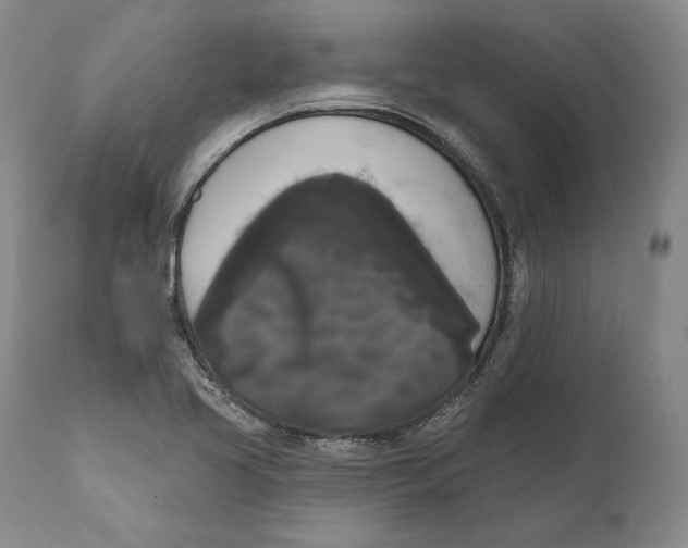 X0000111021413200907101329