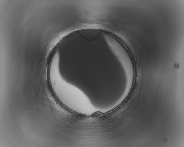 X0000111021414200907101329