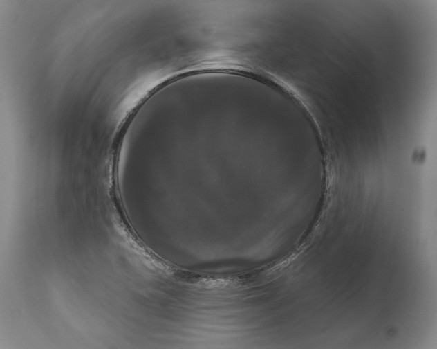 X0000111021415200907101329