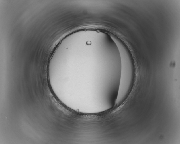 X0000111021417200907101329