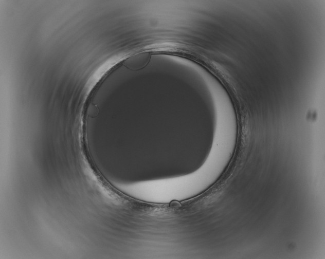 X0000111021418200907101329