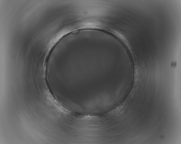 X0000111021419200907101329