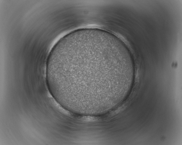 X0000111021420200907101329