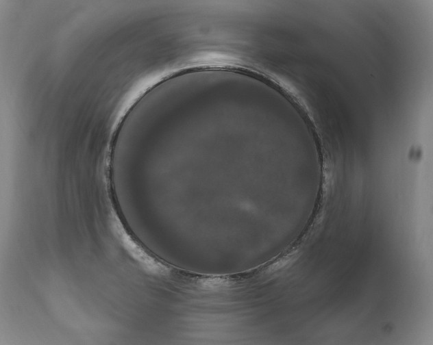 X0000111021421200907101329