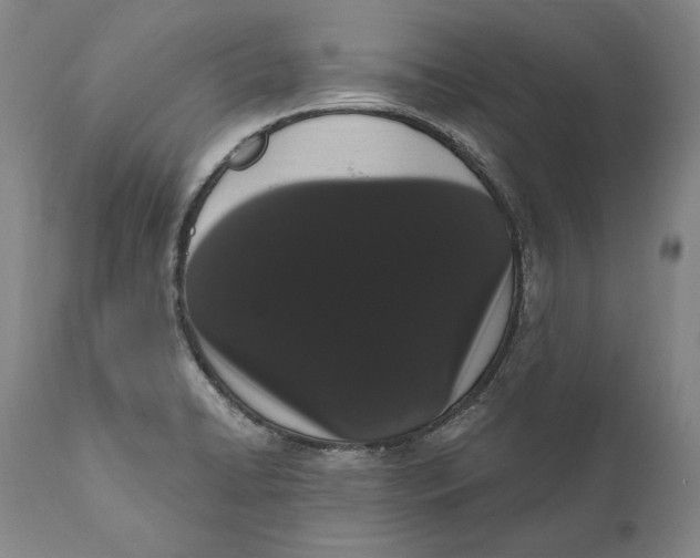 X0000111021422200907101329