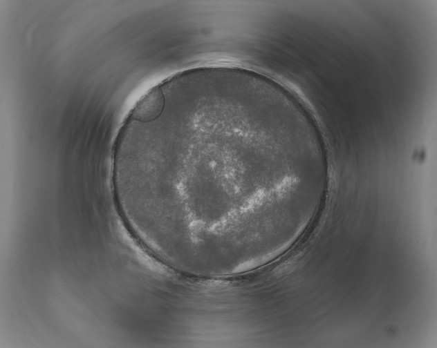 X0000111021424200907101329