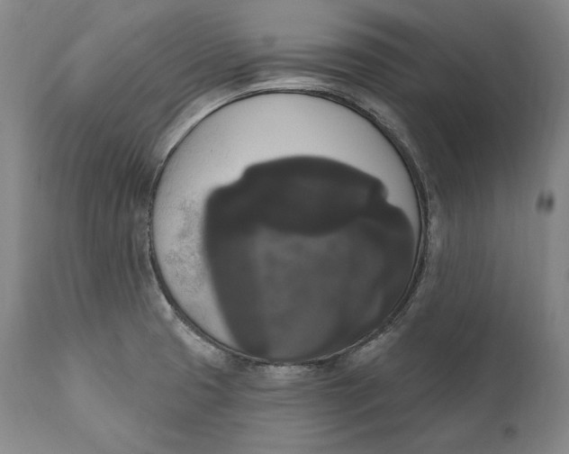 X0000111021425200907101329