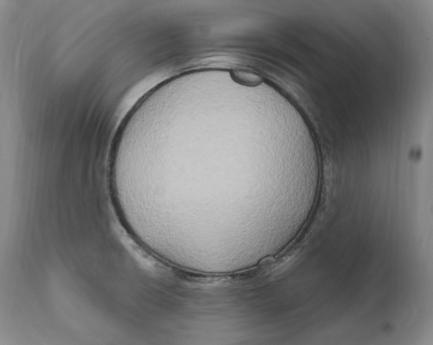 X0000111021426200907101329
