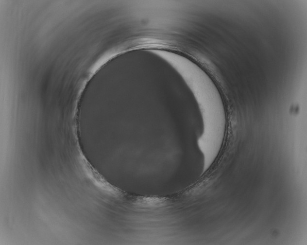X0000111021427200907101329
