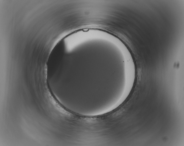X0000111021428200907101329