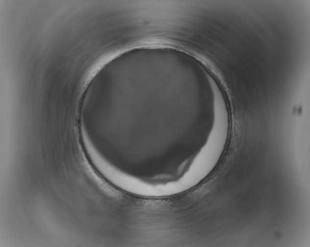 X0000111021429200907101330