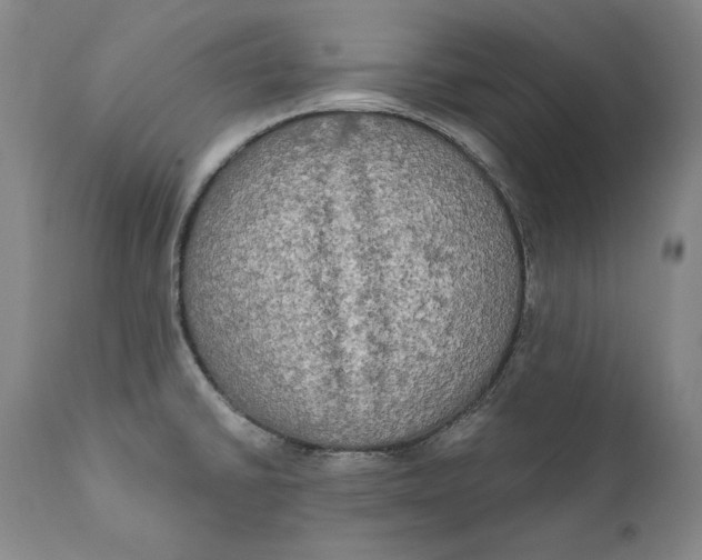 X0000111021430200907101330