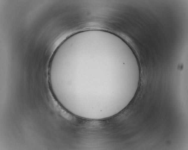 X0000111021431200907101330