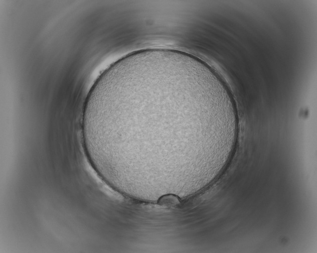 X0000111021432200907101330