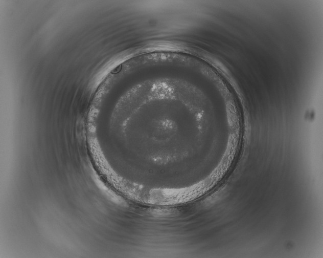 X0000111021433200907101330