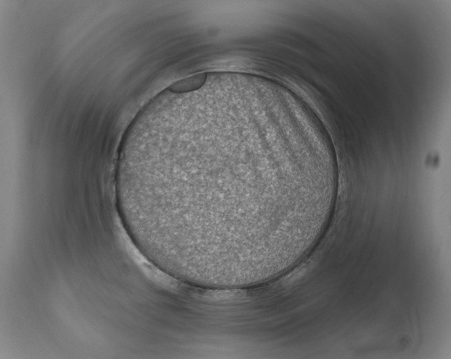 X0000111021434200907101330