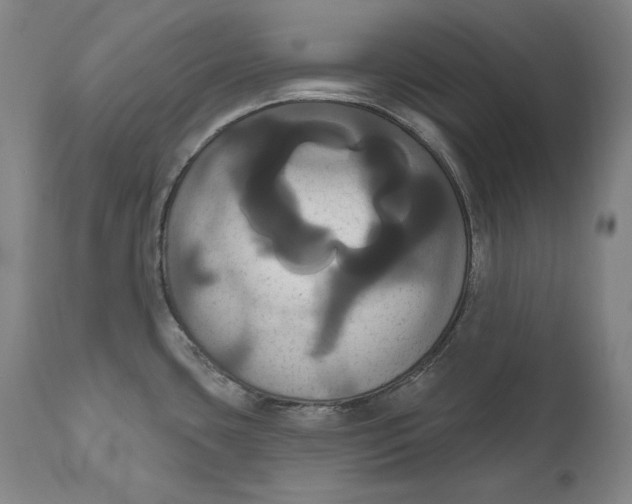 X0000111021435200907101330