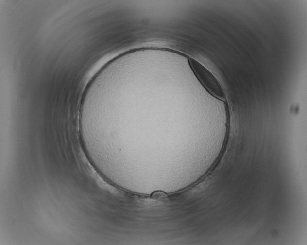 X0000111021436200907101330