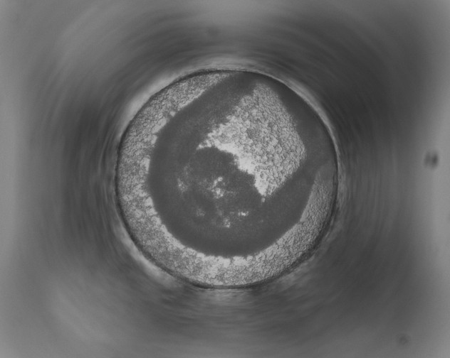 X0000111021437200907101330