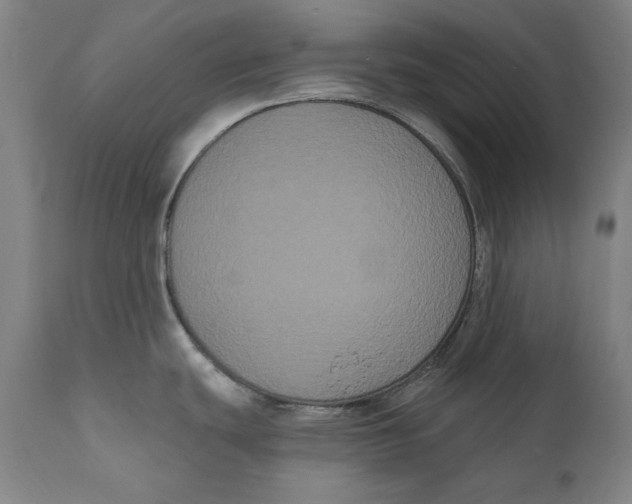 X0000111021439200907101330