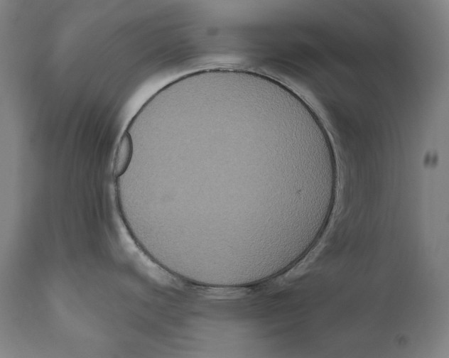 X0000111021440200907101330