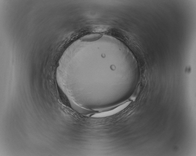 X0000111021441200907101329