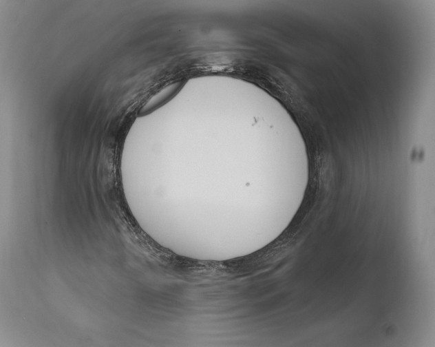 X0000111021442200907101329
