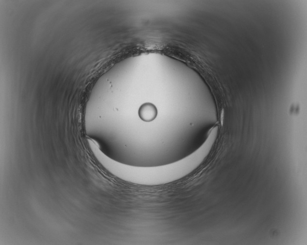 X0000111021443200907101329