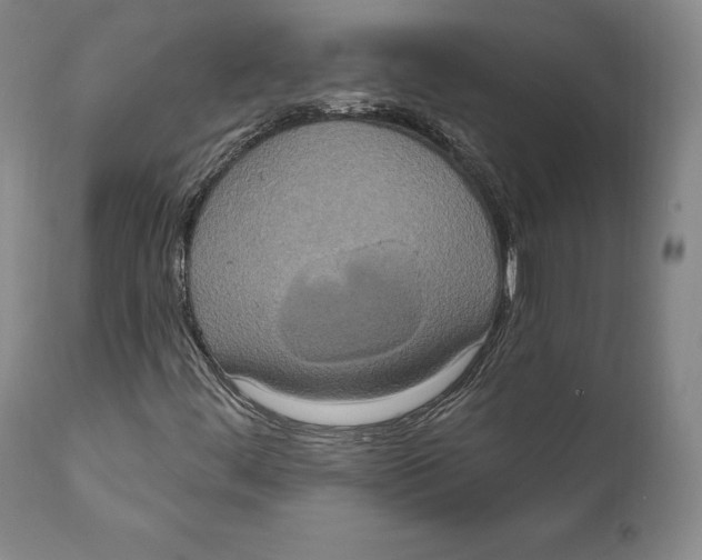 X0000111021444200907101329
