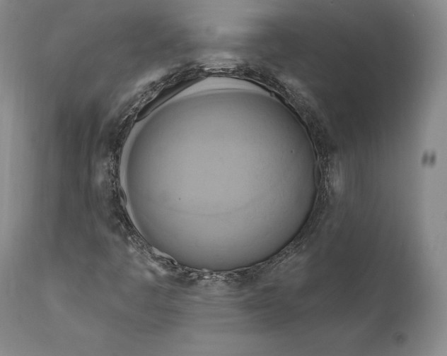 X0000111021445200907101329