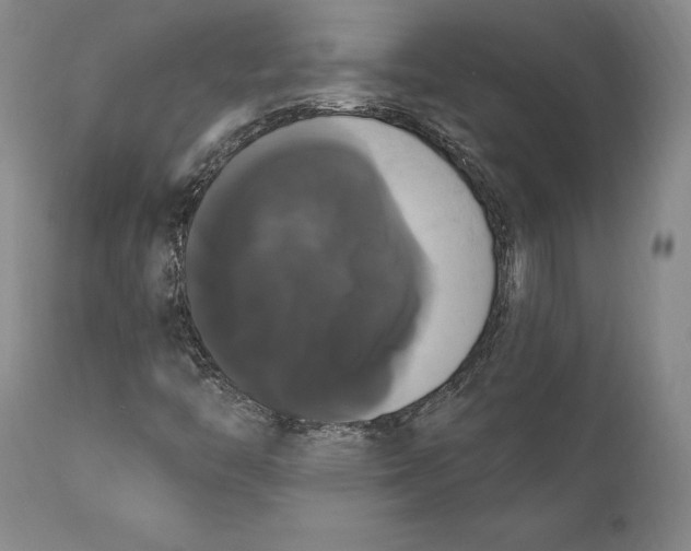 X0000111021446200907101329
